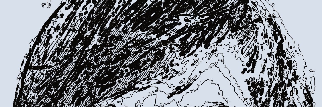MariavandenBorn's profile banner image