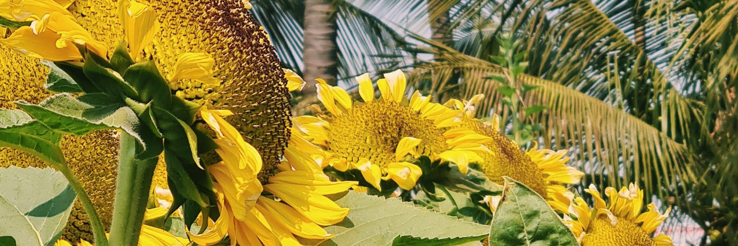 Neha_Mathews_'s profile banner image