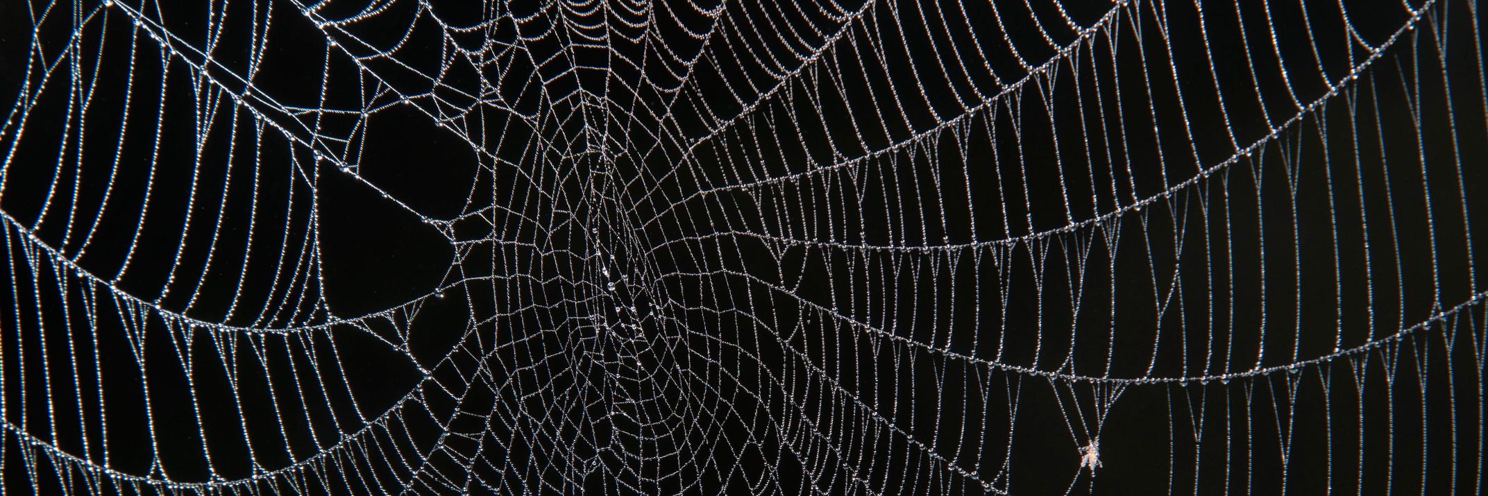 HoodSpiderr's profile banner image