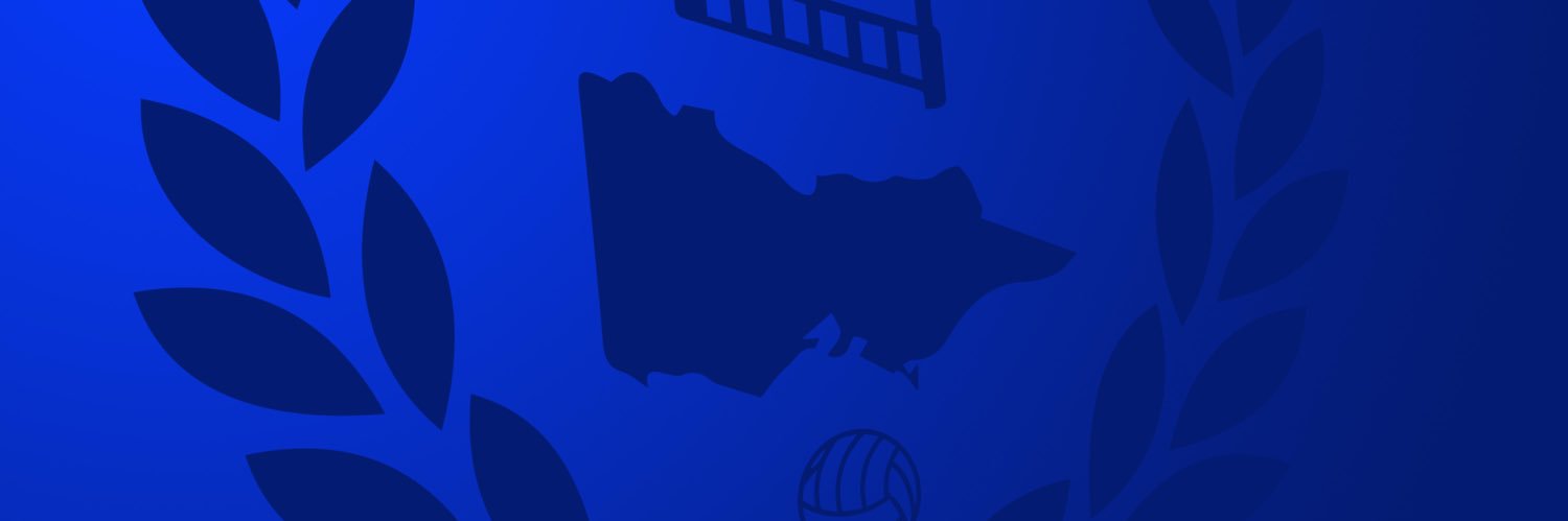 ToffeesVictoria's profile banner image