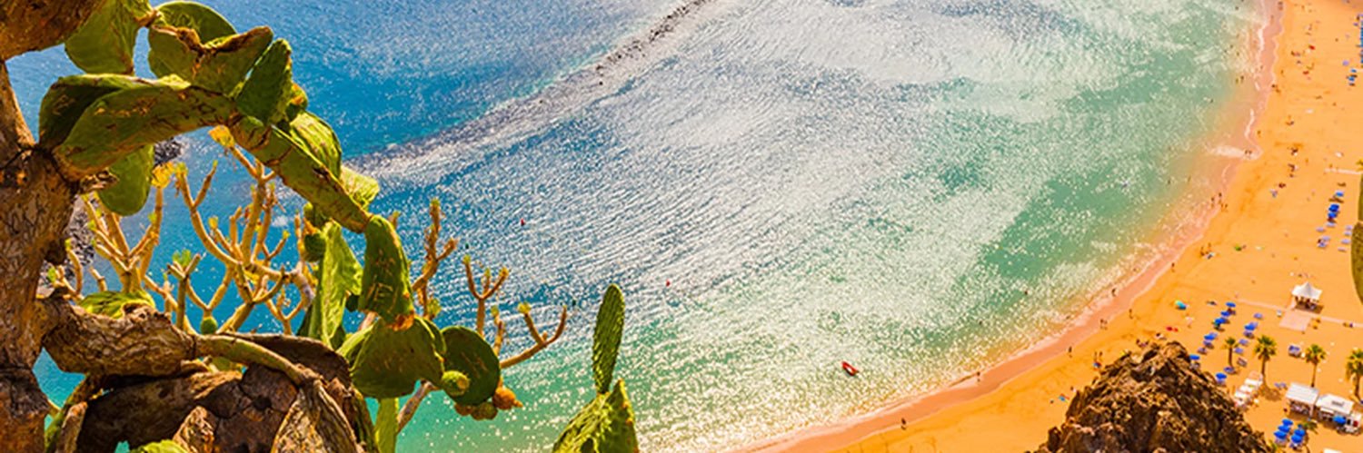 okinayaa's profile banner image