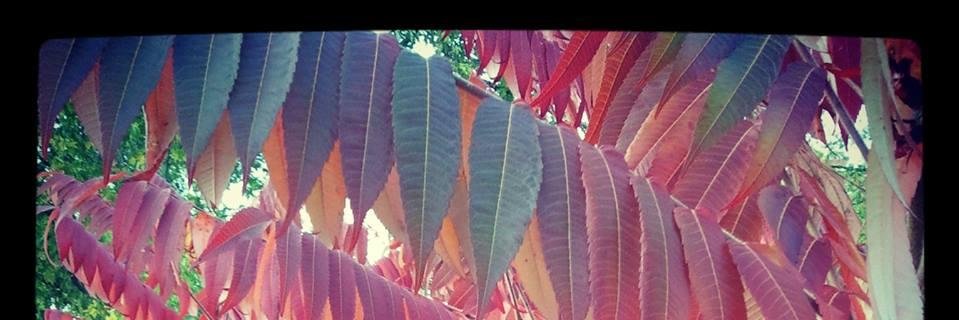 JSgrigs's profile banner image