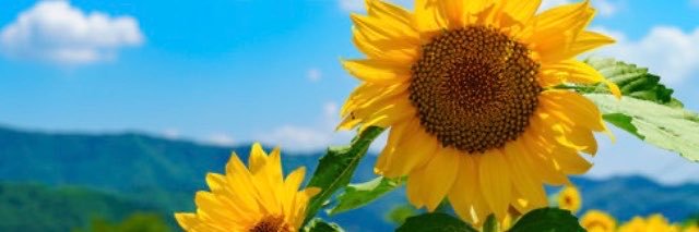 winda_imoedht's profile banner image