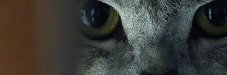 Lex_TheVillain's profile banner image