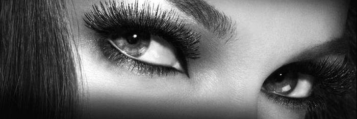 evliprenses's profile banner image