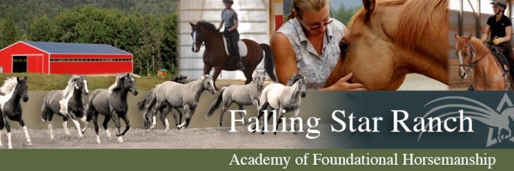 fsranch's profile banner image