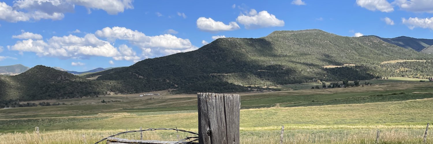 TxRedDirtAngel's profile banner image