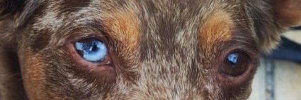 TtAlexmartinez Profile Banner