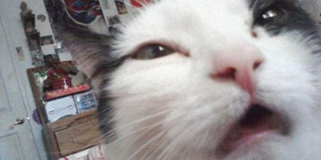 ashleynagy_'s profile banner image