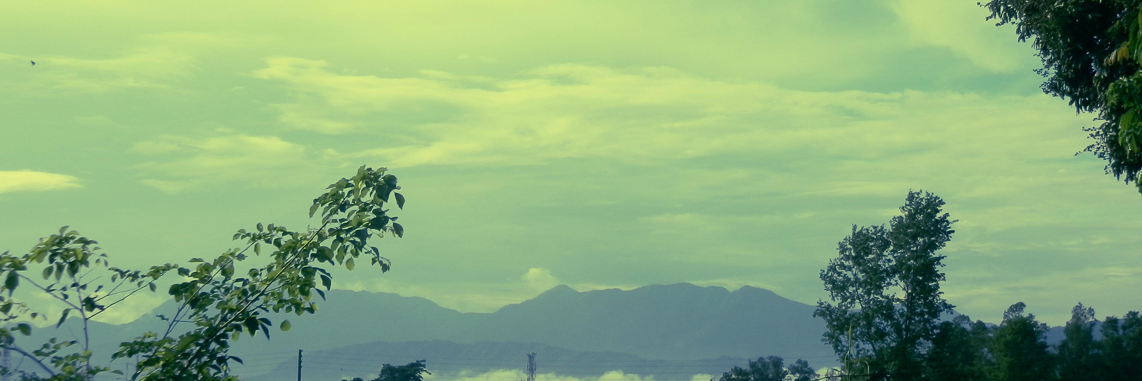 podd_king's profile banner image