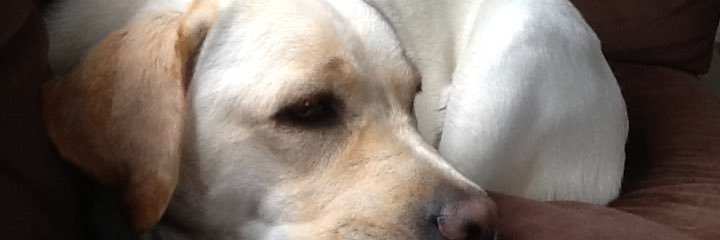 stuartt66's profile banner image
