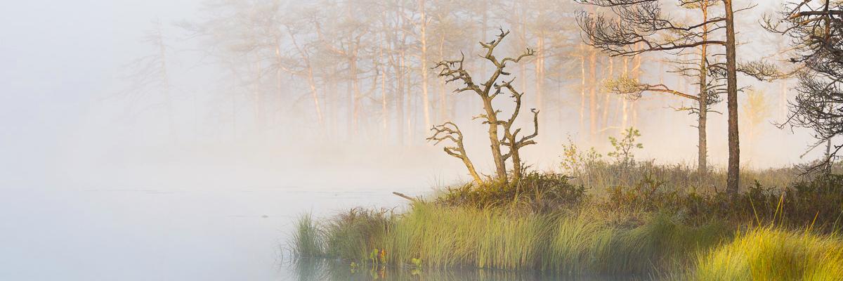 JanisJanums's profile banner image