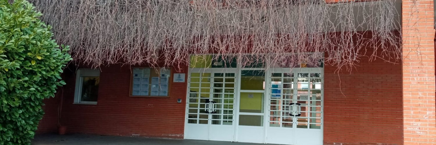 InstitutoSenara banner