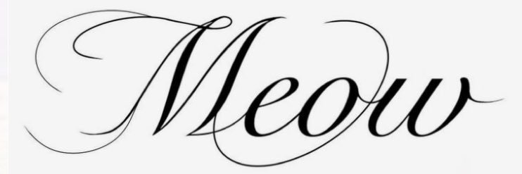 teacupcl0wn's profile banner image