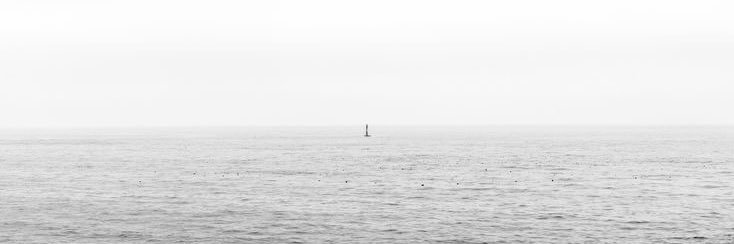 Jeff. banner