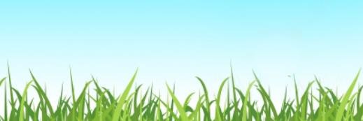 Barks5512's profile banner image