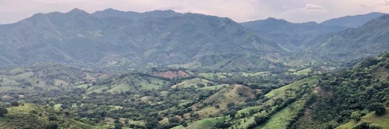 Carlos Monterroza banner