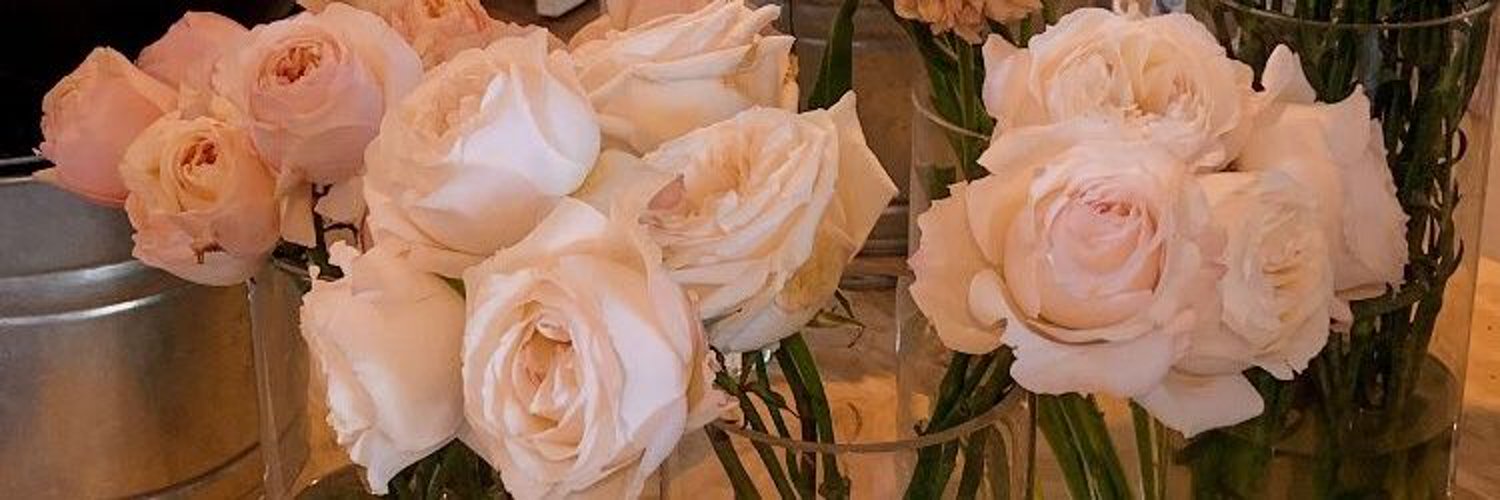 soozy5556's profile banner image