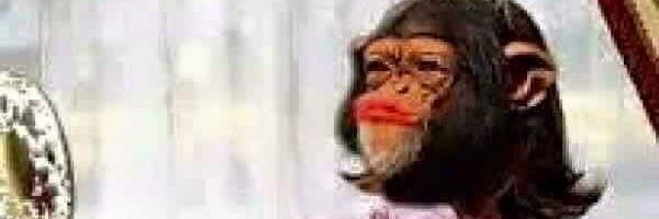 rony50747's profile banner image