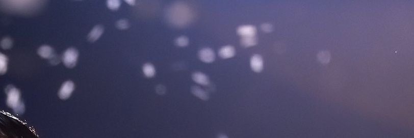𝑀𝒶 𝓋𝒾𝑒 ❆ banner