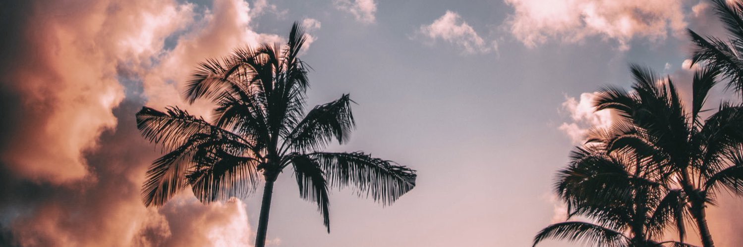 irmajaja72's profile banner image