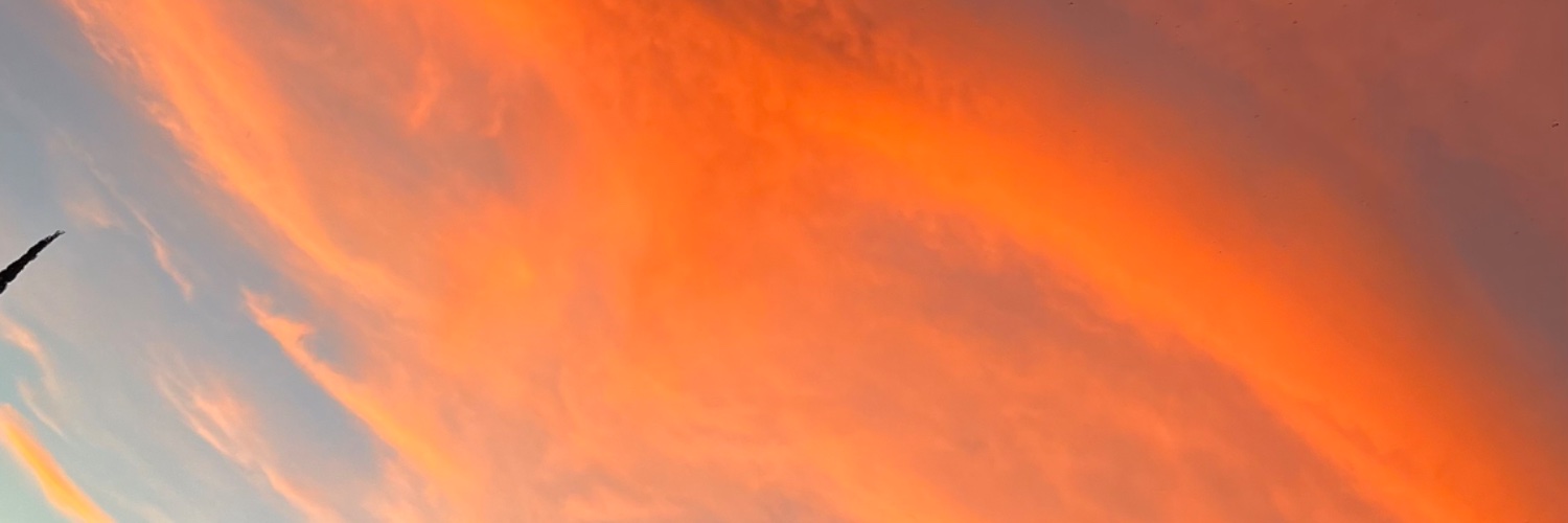 Alejandra31G's profile banner image