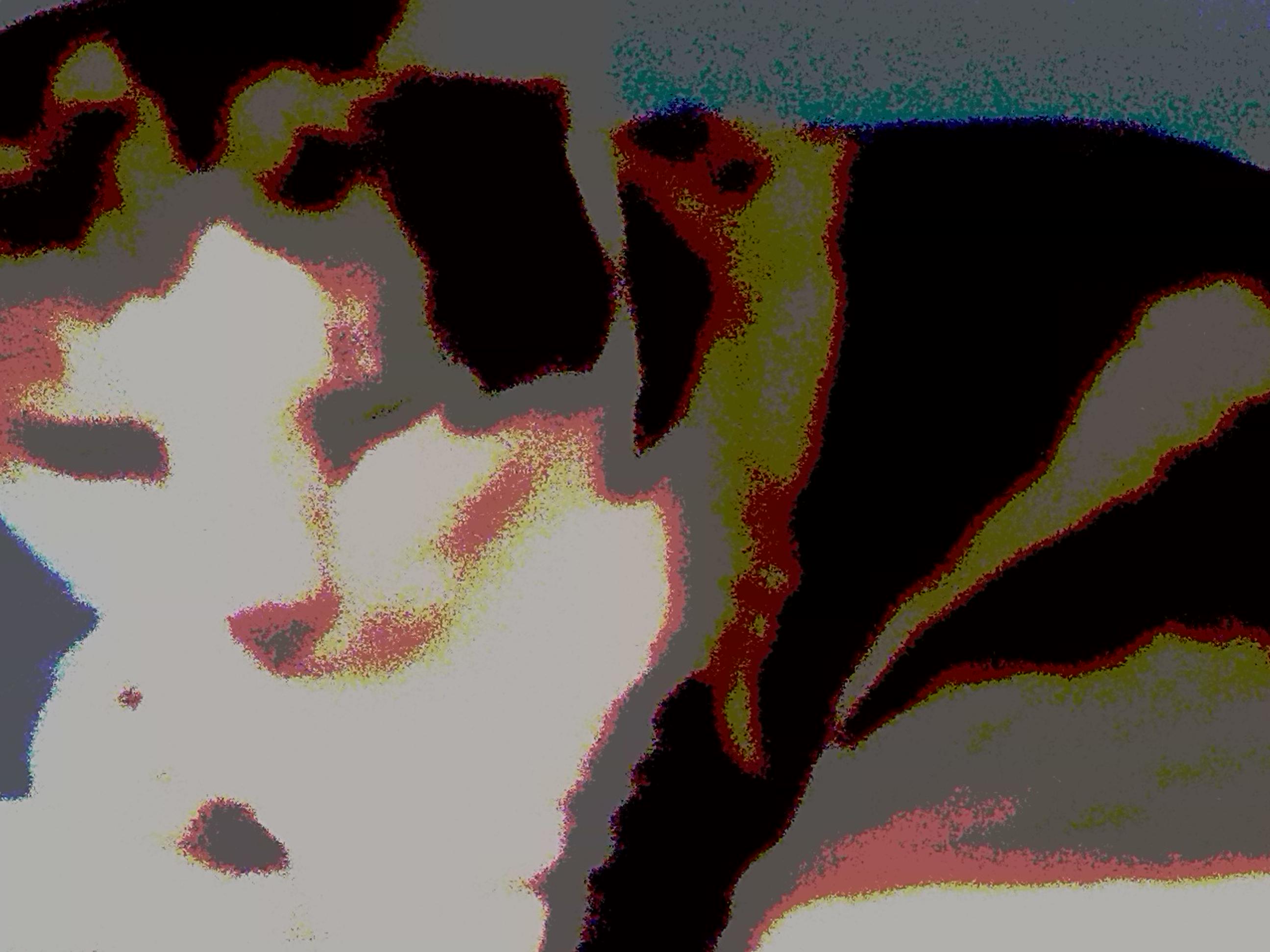 afrodeixon's profile banner image