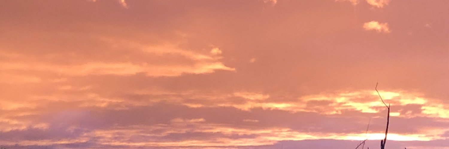 Catlotte_'s profile banner image