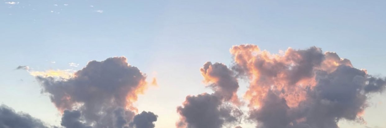qalashaffer's profile banner image