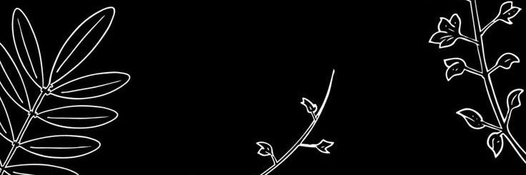 Lopezzcandu's profile banner image