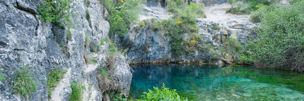 Roberto Carcedo banner