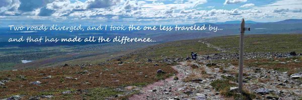 vsilfver Profile Banner