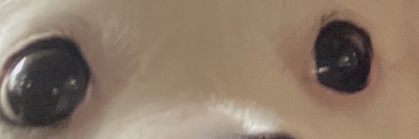 naenae_agnes's profile banner image
