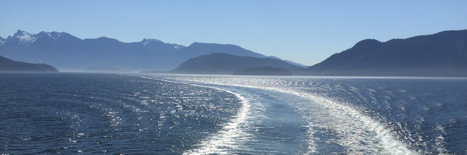 Lewis Muirhead banner