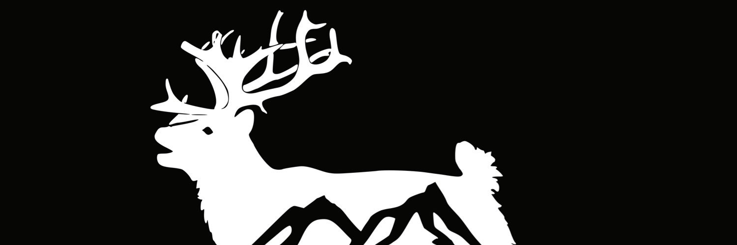 🌻Paintless banner