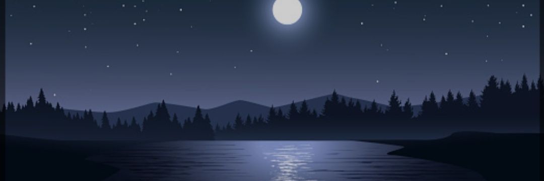 pprotective_'s profile banner image