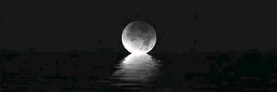 lou_sala's profile banner image