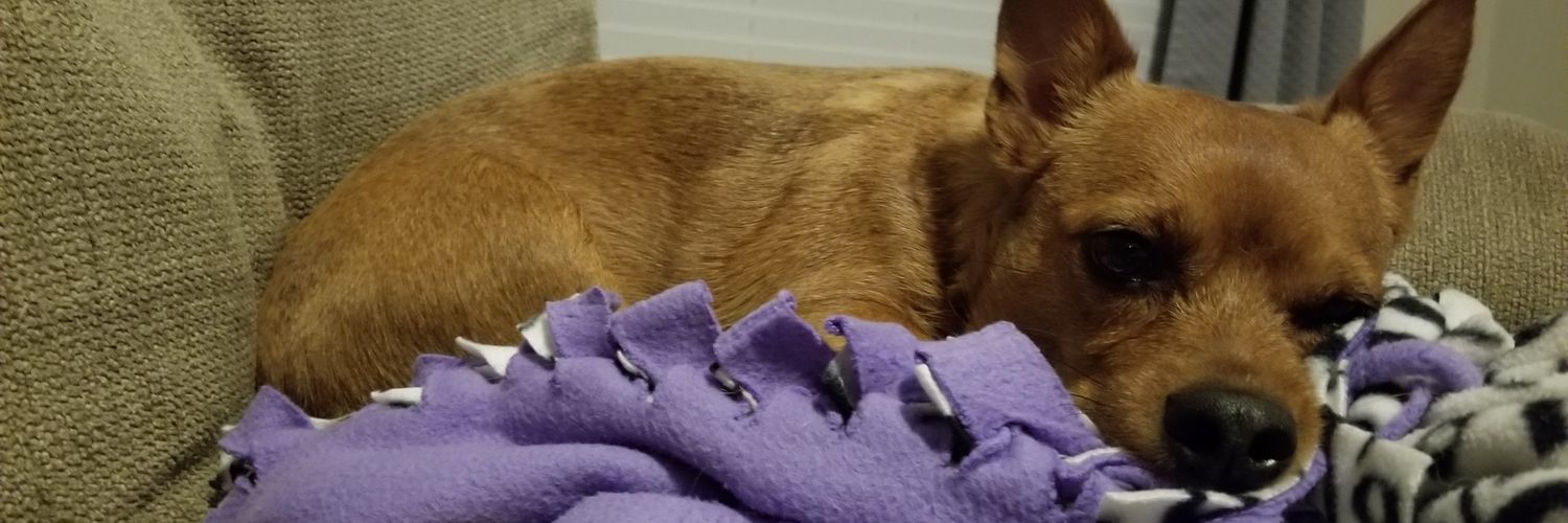 maniacengineer's profile banner image