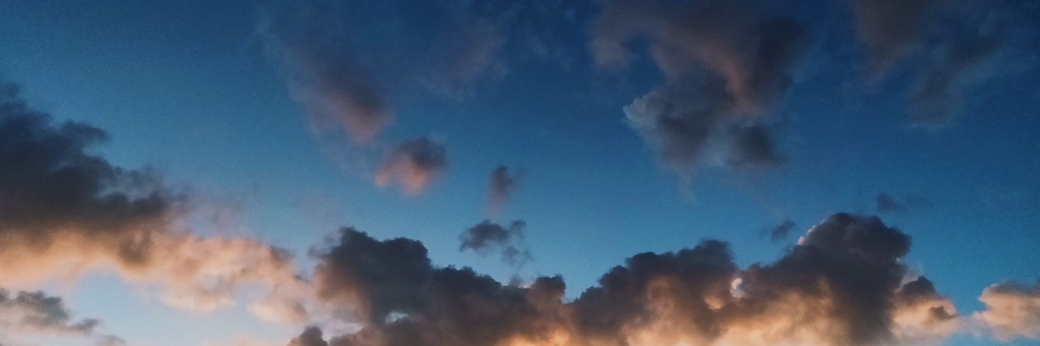 afdbie's profile banner image