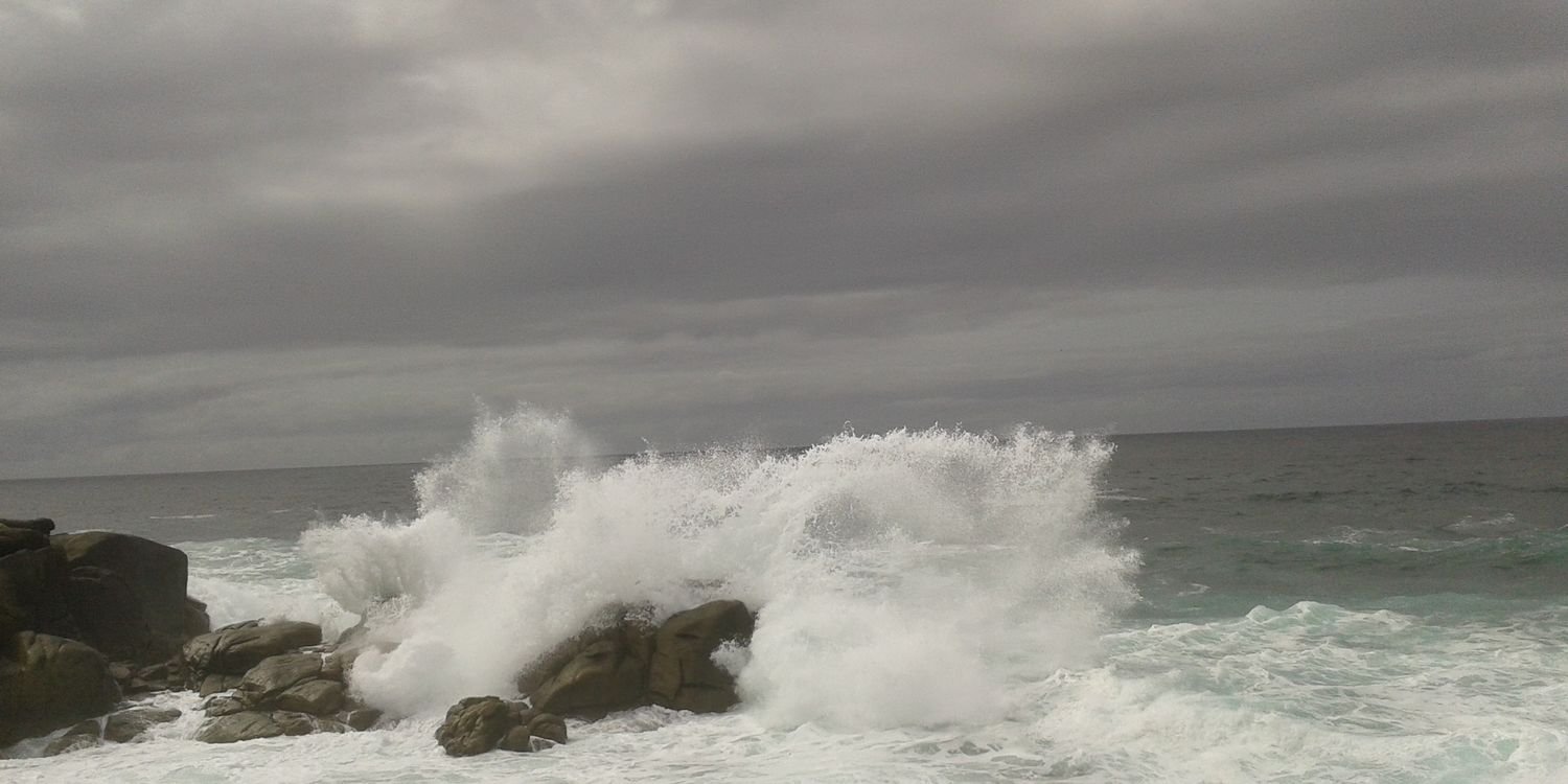 Luis Miguel Carvajal banner