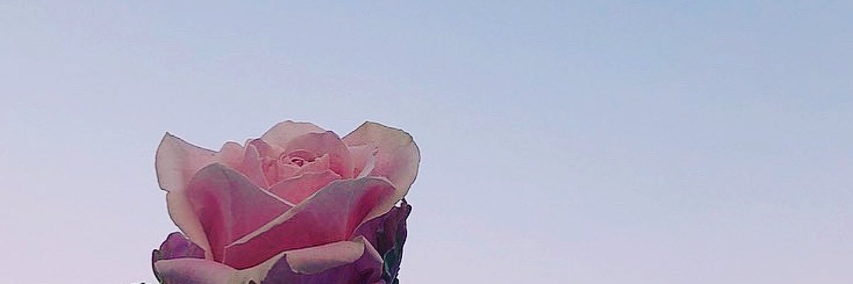 alshaba99's profile banner image