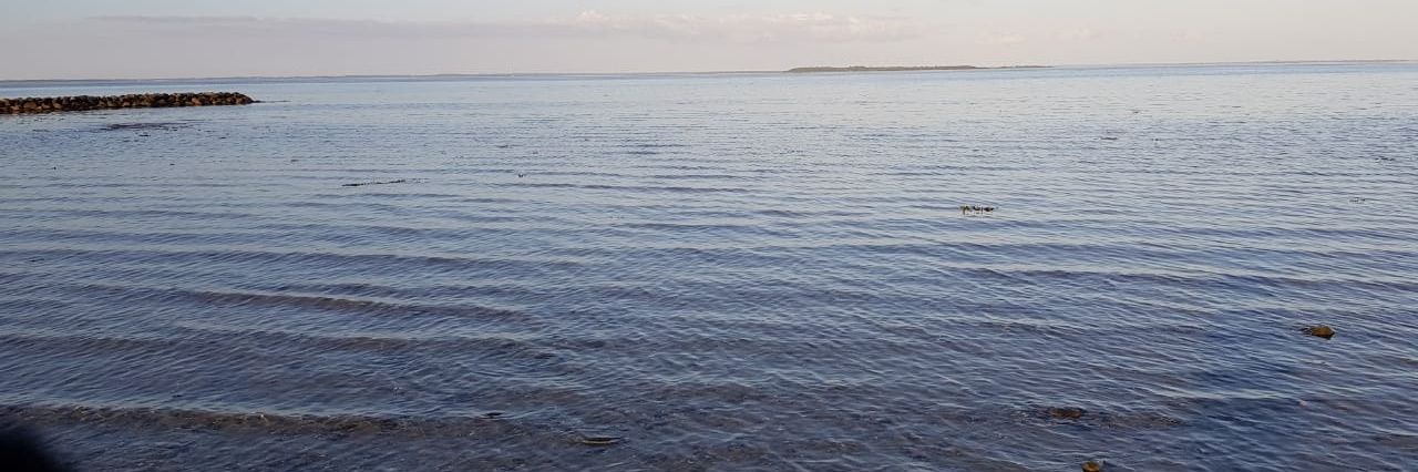 SabK86's profile banner image