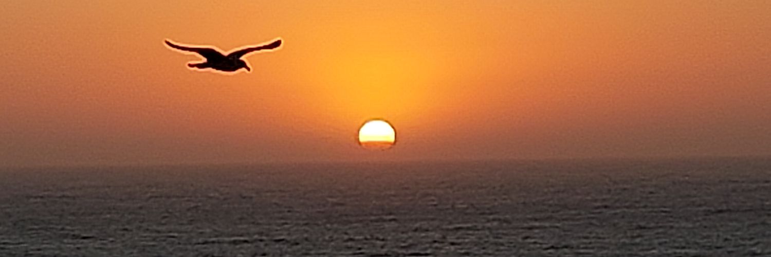 mgibertsalom's profile banner image