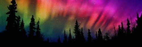 MaryNehl's profile banner image