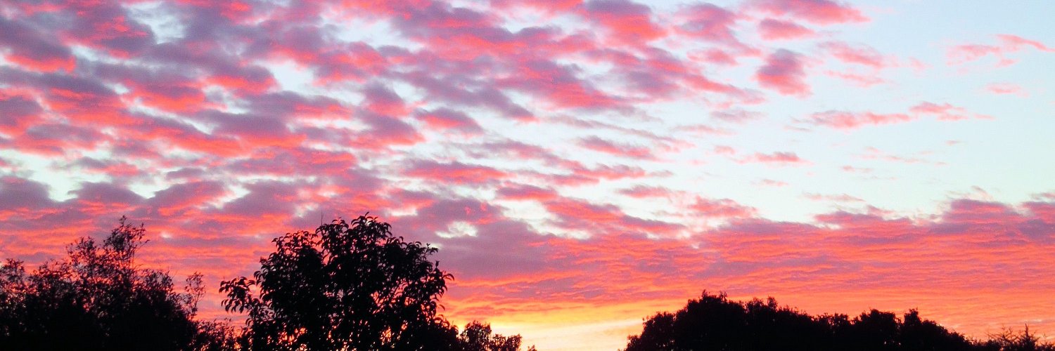 RozInAus's profile banner image