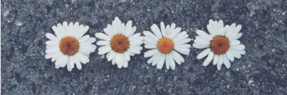 AndRianiyeeni's profile banner image