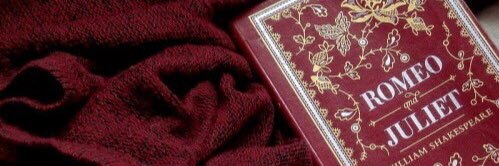tyulp_anek's profile banner image