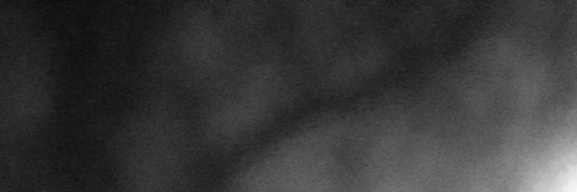 zombie_birds's profile banner image