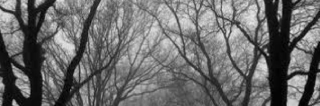 larrysbitchass's profile banner image
