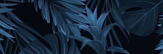 modvod99's profile banner image